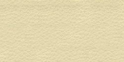 ivory 1110